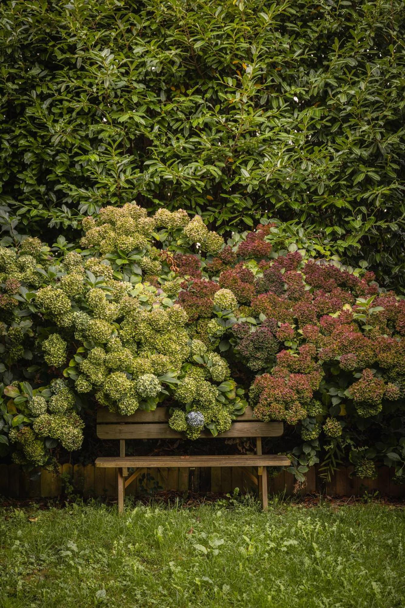Le Jardin Enchanteur, Chaleureuse Maison D'Hotes Eco-Responsable, Calme Et Accueillante Loperec Экстерьер фото